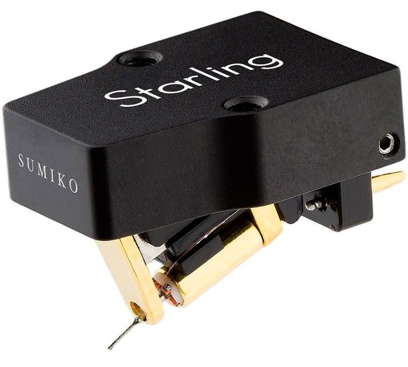 Starling L (0.5 mV)