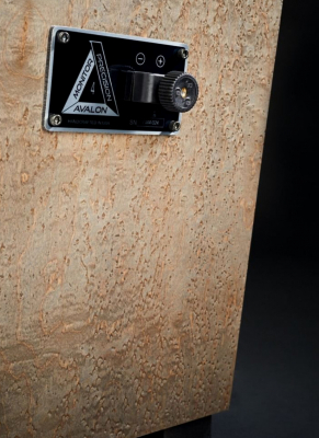 Precision Monitor 4 polychrome