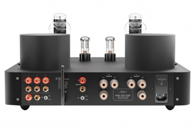 Mira Ceti 300b EVO Black Ice