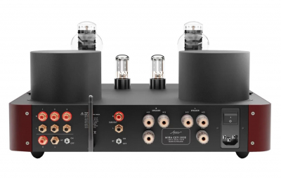 Mira Ceti 300b EVO Big Calm