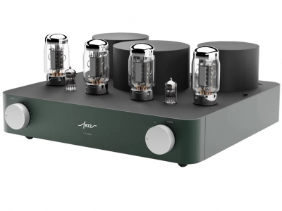 Titania EVO Evergreen