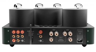 Titania EVO Evergreen