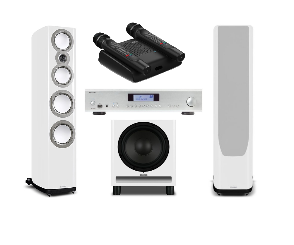 ZX 5 white + zx sub + rotel ra-14 mkii sl + ast home