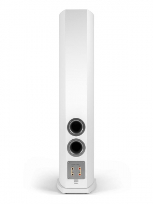 DS-631 WT