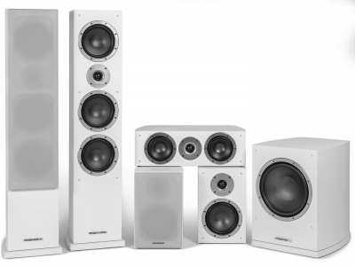 DS-631 WT