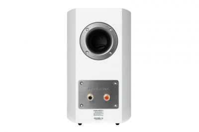DS-501 WT