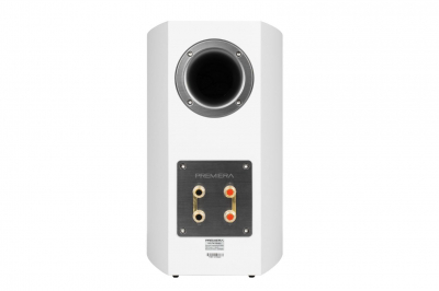 DS-601 WT