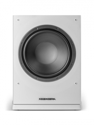 DS-10SA WT