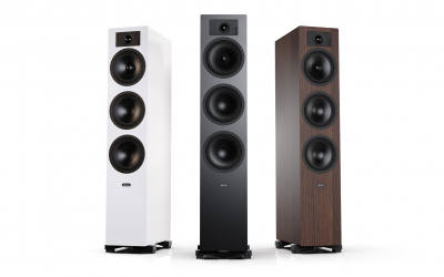 Tesi 6 wood