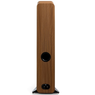 3050c Pin Oak