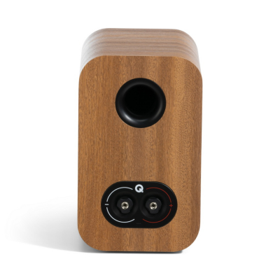 3010c Pin Oak