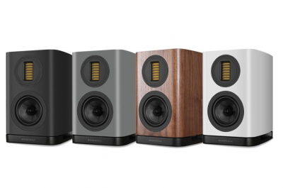 EVO 5.1 Walnut