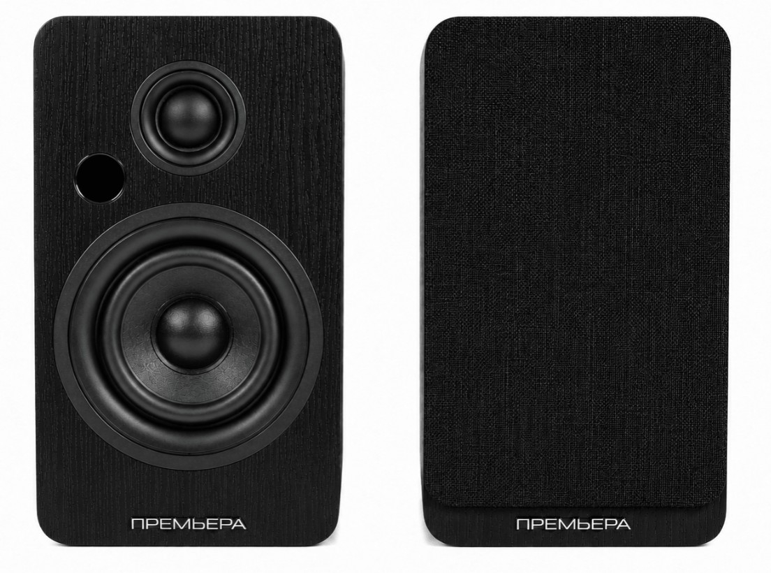 RS-301A Black
