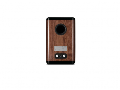 Revela 1 High Gloss Walnut