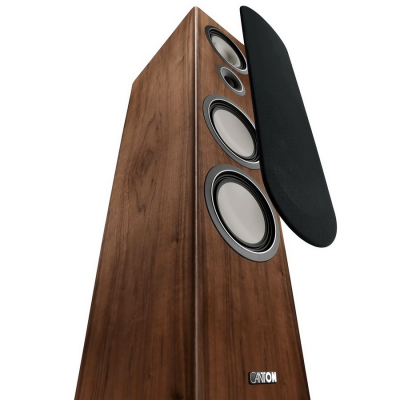 Townus 100 Walnut