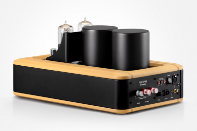 Monoamplifier 845SE Signature Pair