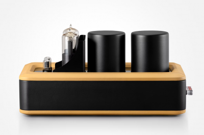 Monoamplifier 845SE Altius Pair