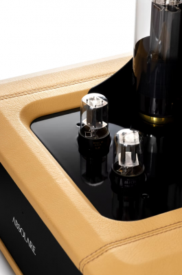 Monoamplifier 845SE Altius Pair