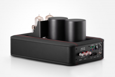 Monoamplifier 845PP Altius Pair