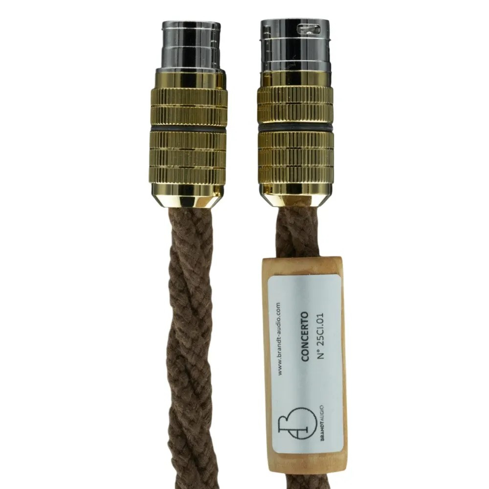 Concerto XLR - 2