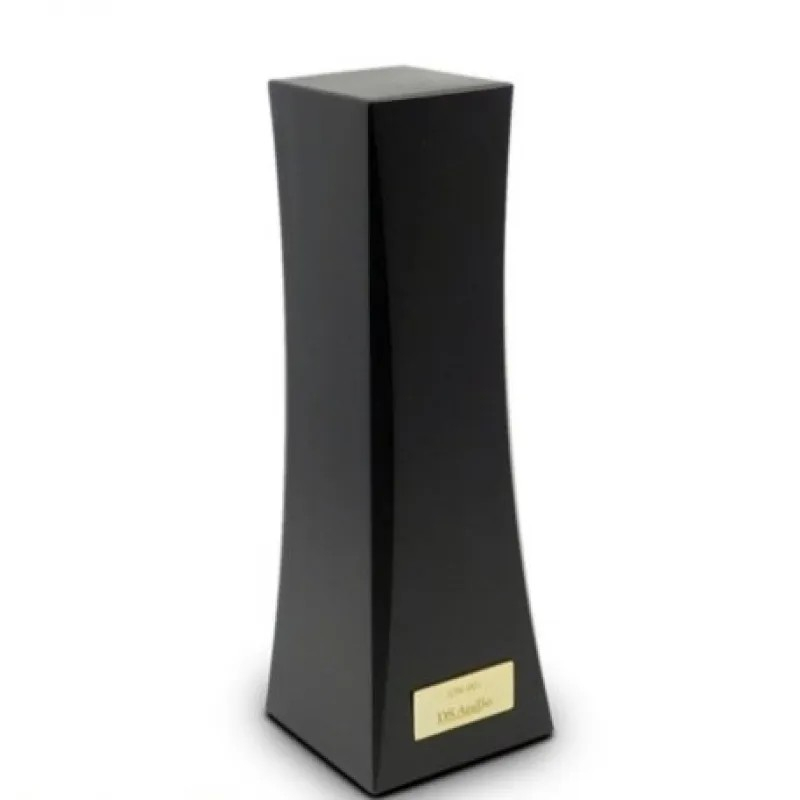 ION-001 Vinyl Ionizer