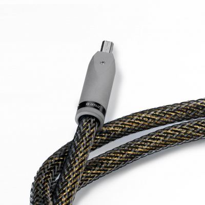 Digitalz D-TC3 Gold Signature USB 2m