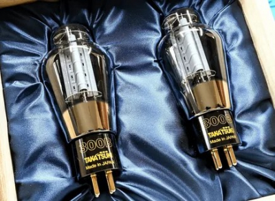 Arne Mk2 Upgrade Takatsuki 300B 4pcs