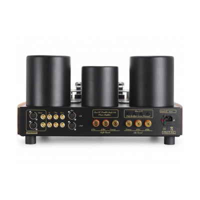Evolution 845