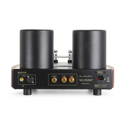 845 Monoblock pair